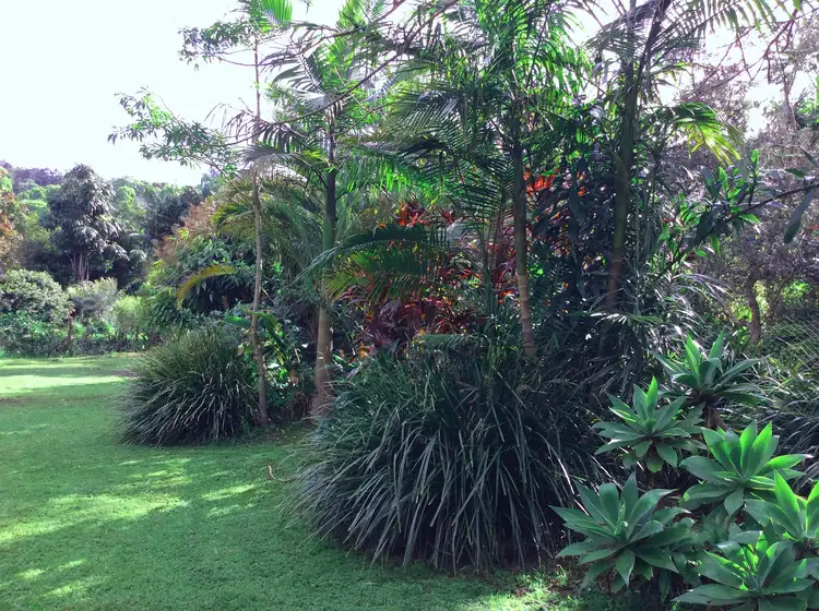 Fifth view of Homely land listing, 1A Coachwood Court, Federal NSW 2480