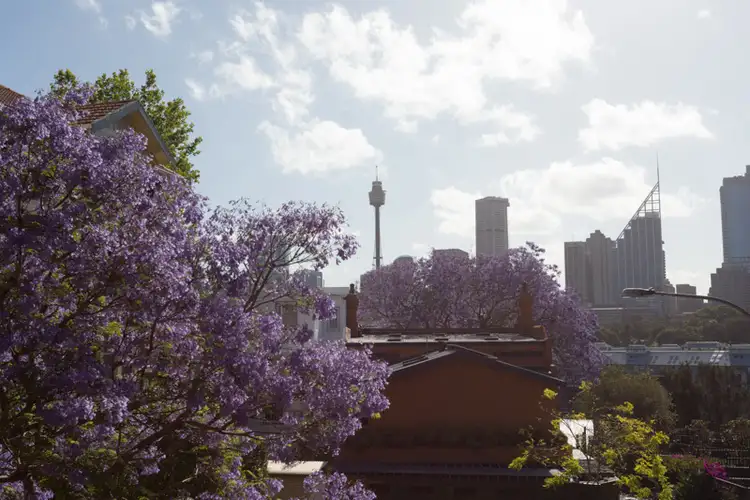 Fourth view of Homely studio listing, 15/9-11 St Neot Avenue, Potts Point NSW 2011