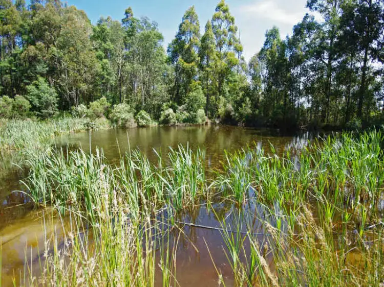 Fourth view of Homely house listing, 225 Umfrevilles Road, Kaoota TAS 7150