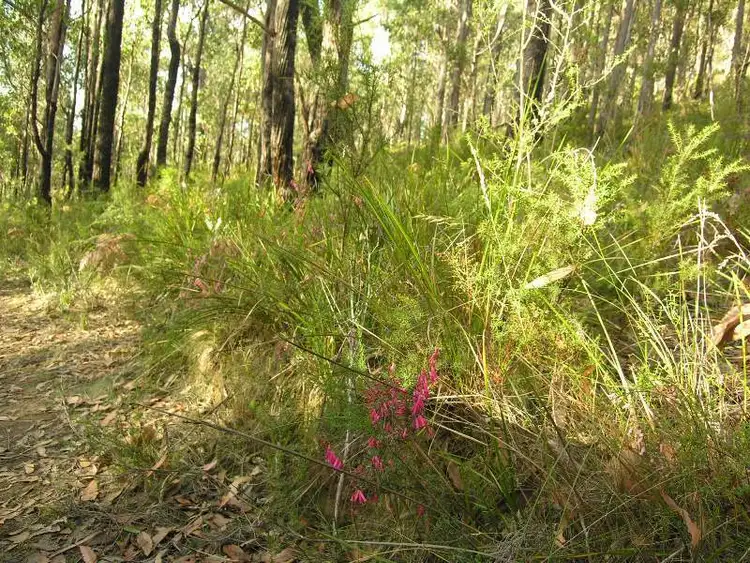 Sixth view of Homely land listing, Halls Track Road, Pelverata TAS 7150