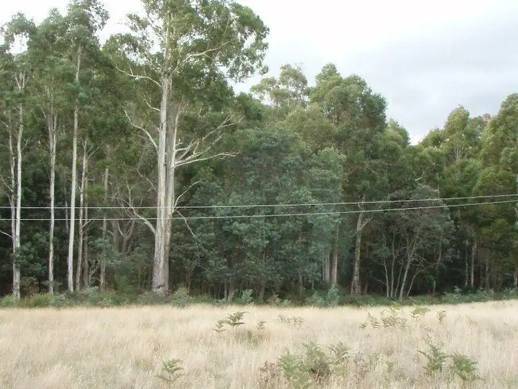 Sixth view of Homely land listing, Lot 4 Holmes Road, Ellendale TAS 7140