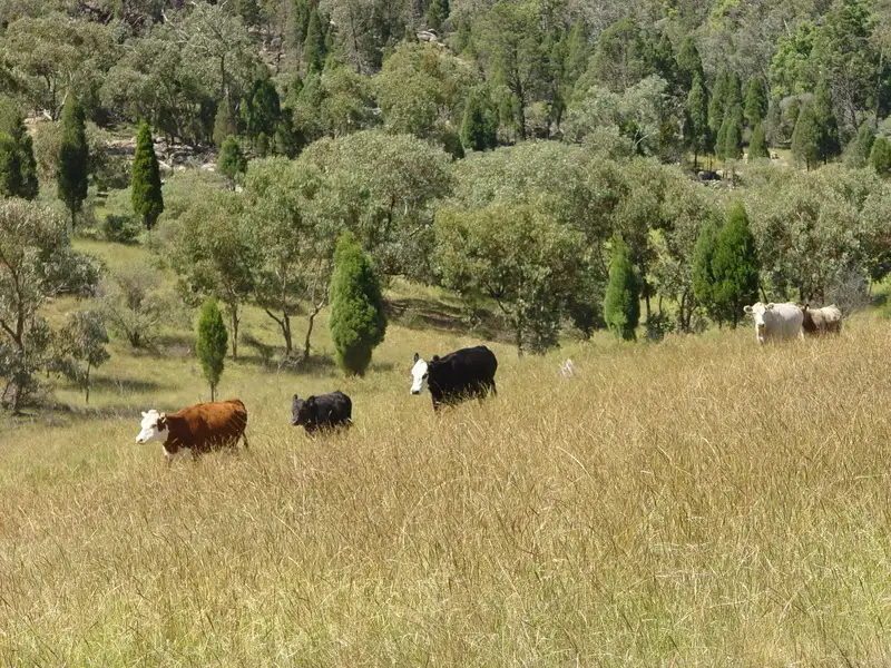 Main view of Homely land listing, Address available on request