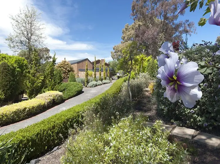 Second view of Homely house listing, 31 Sheehan, Pearce ACT 2607