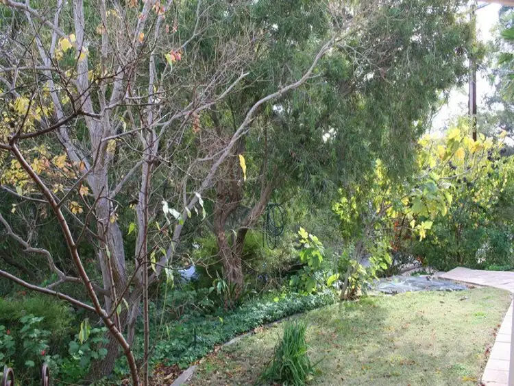 Third view of Homely house listing, 14 Elm Road, Campbelltown SA 5074