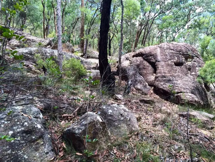 Fourth view of Homely land listing, 607 Settlers Rd, Lower Macdonald NSW 2775