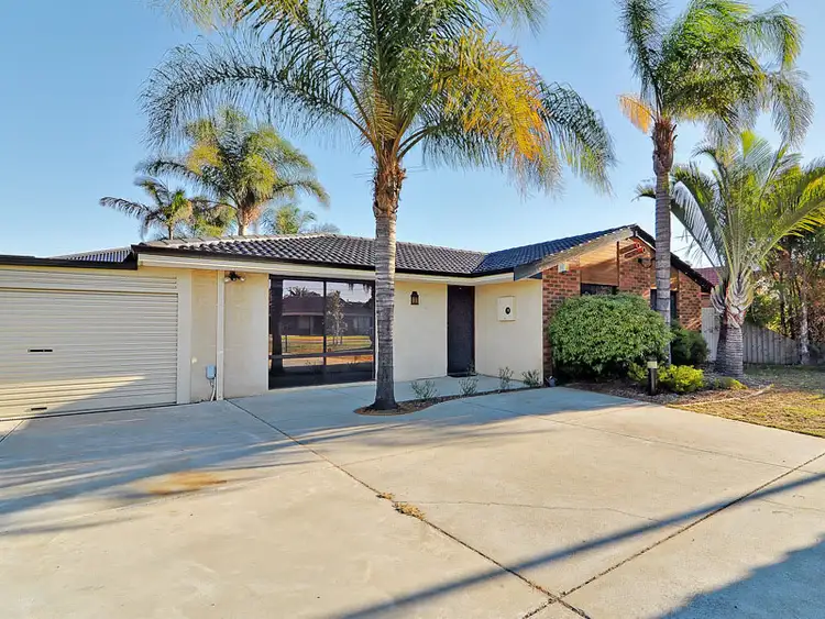 Main view of Homely house listing, 13 Dotterel Way, Yangebup WA 6164