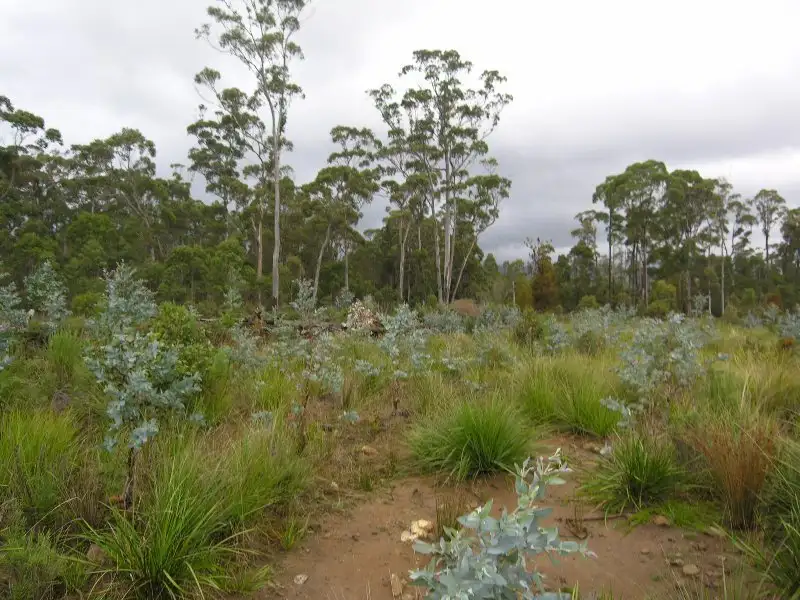 Main view of Homely land listing, Mt. Barrow Road, Nunamara TAS 7259