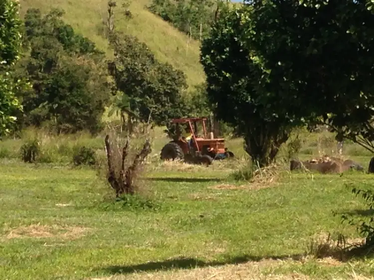 Fifth view of Homely rural property listing, Lot 43 Brahman Road, Utchee Creek QLD 4871