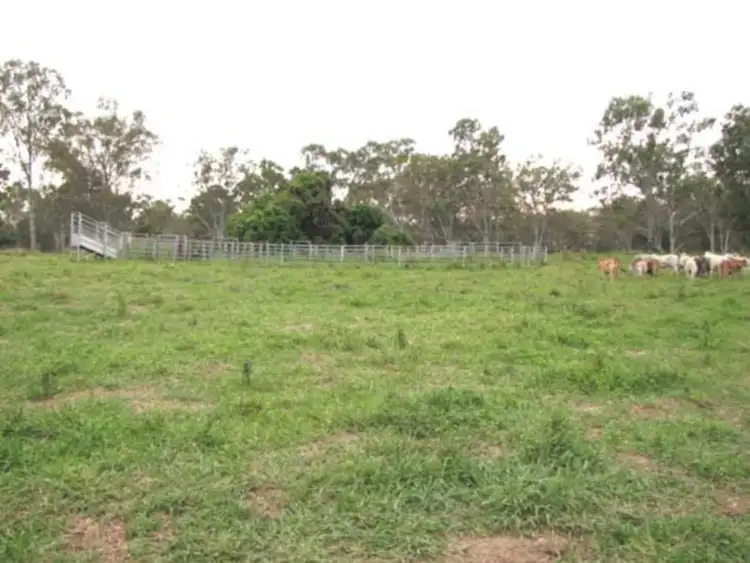 Second view of Homely rural property listing, 00 Raglan Station Road, Raglan QLD 4697
