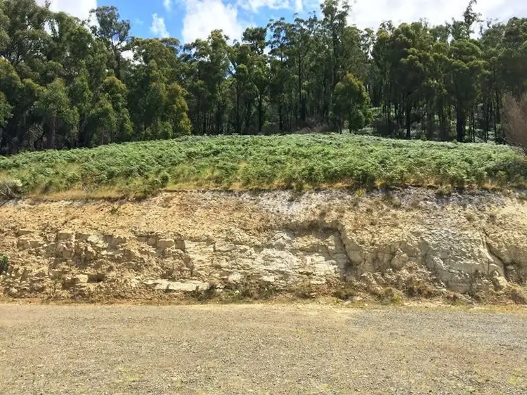 Fifth view of Homely land listing, 130 Bermuda Road, Glen Huon TAS 7109