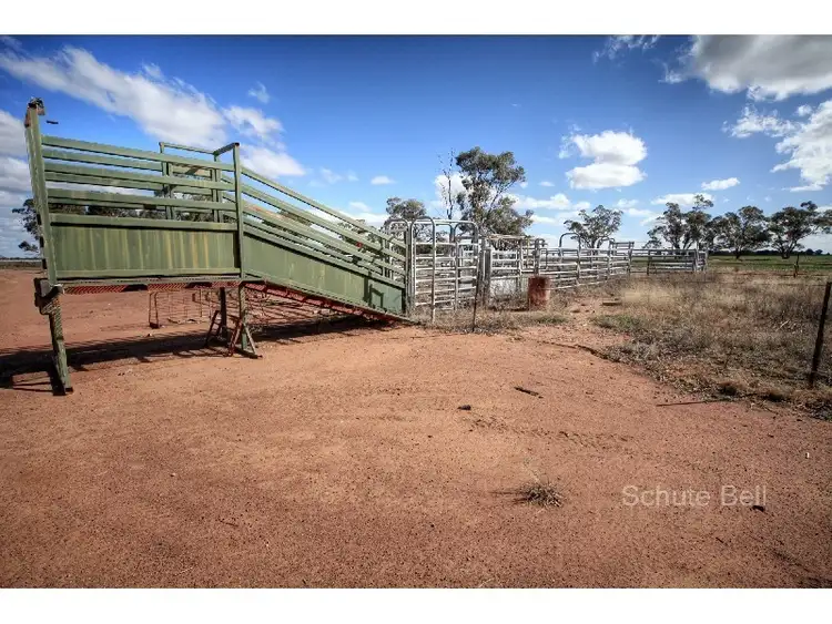 Seventh view of Homely rural property listing, . Myola, Narromine NSW 2821