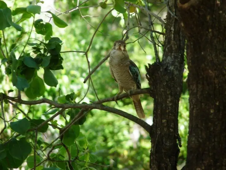 Sixth view of Homely land listing, 2 Corser Drive, Alligator Creek QLD 4816