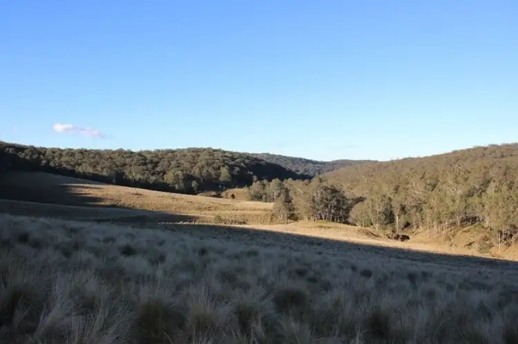 Lot 1 and 2 Putty Valley Road (Condon Clear, Putty NSW 2330