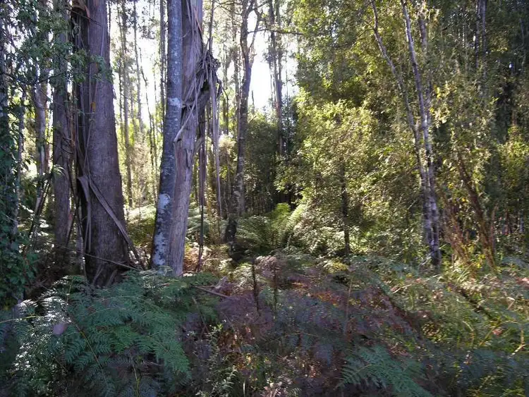 Seventh view of Homely land listing, Lot 1 Off Southwood Road, Lonnavale TAS 7109