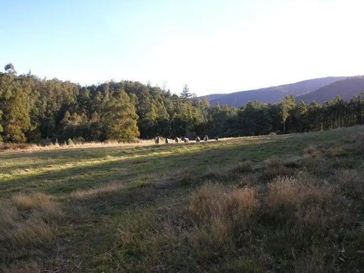 Seventh view of Homely land listing, Palmers Road, Oyster Cove TAS 7150