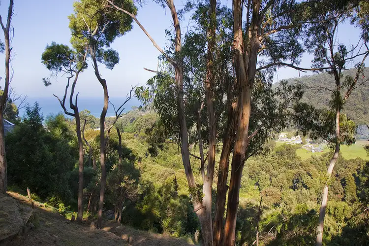 Third view of Homely land listing, 38-40 Riverside Drive, Wye River VIC 3221