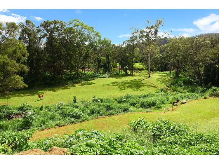Fourth view of Homely house listing, 40 Henri Robert Drive, Clagiraba QLD 4211