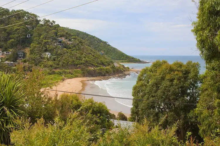 29 McRae Road, Wye River VIC 3221