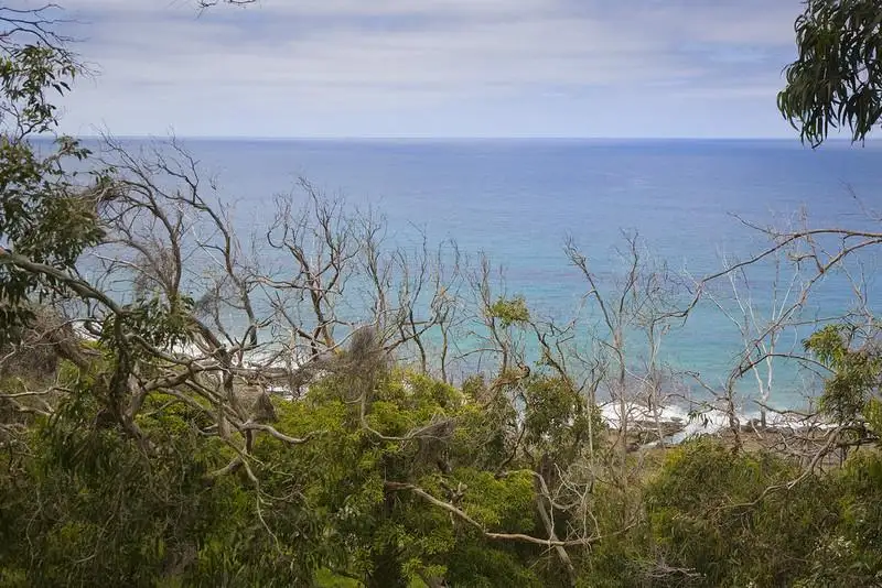 Main view of Homely land listing, 63 Morley Avenue, Wye River VIC 3221