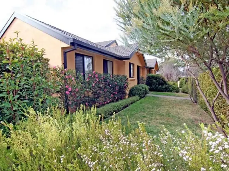Main view of Homely townhouse listing, 3/5 Banksia Street, O'connor ACT 2602