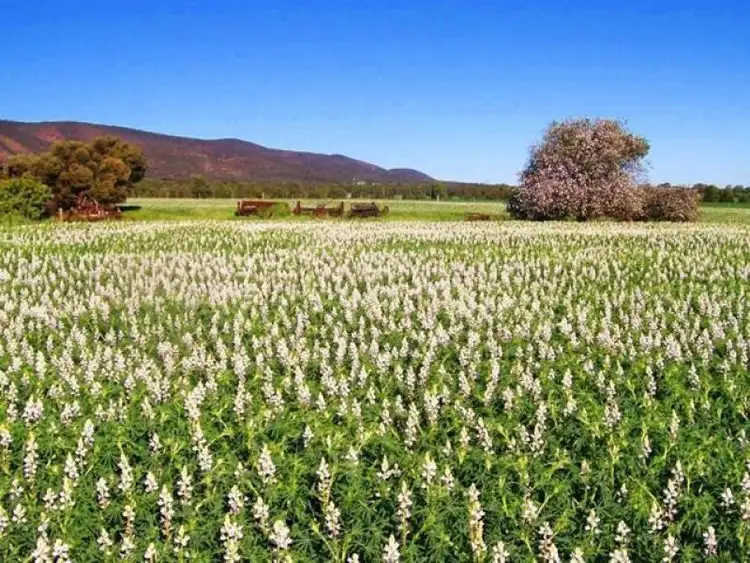 Third view of Homely house listing, 1274 Scenic Drive, Nelshaby, Port Pirie SA 5540
