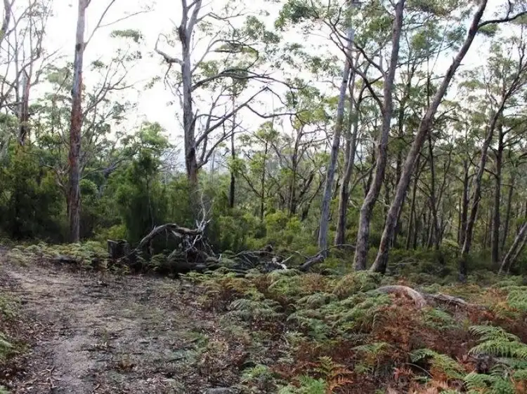 Fourth view of Homely land listing, LOT Office SA, Lot 1 Sandhill Road, Cradoc TAS 7109
