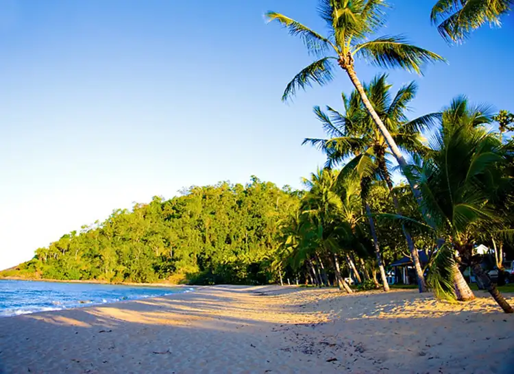 Fifth view of Homely house listing, 8 Strombus Ave, Trinity Beach QLD 4879