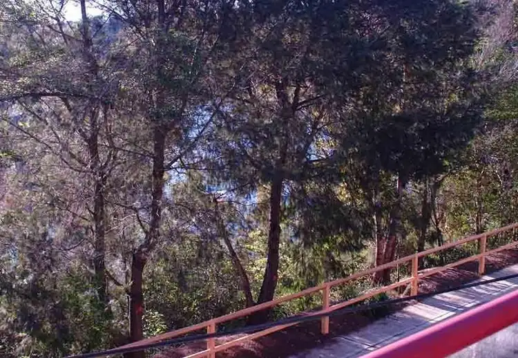 Sixth view of Homely apartment listing, 17A Wonga Road, Cremorne NSW 2090