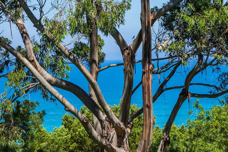 Main view of Homely house listing, 3 Riverside Drive, Wye River VIC 3221
