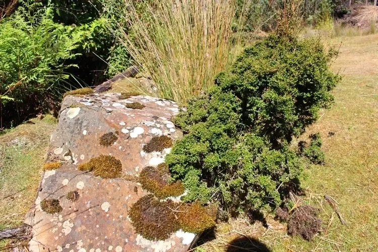 Sixth view of Homely land listing, Lot 2 Roberts Road, Kaoota TAS 7150