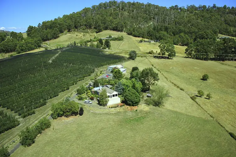 Fourth view of Homely house listing, 4182 Huon Highway, Castle Forbes Bay TAS 7116
