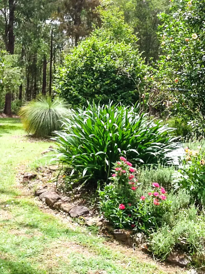 Third view of Homely house listing, 239 Crisp Drive, Ashby Heights NSW 2463