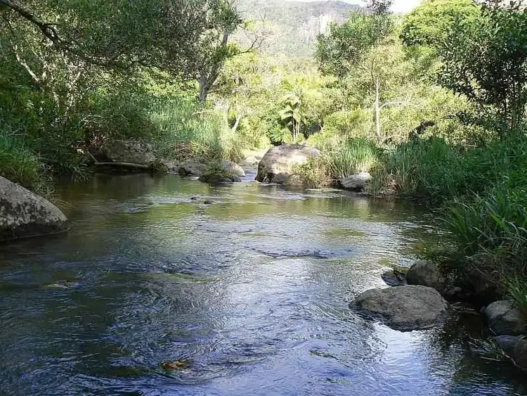 Main view of Homely rural property listing, 443 Upper Wilsons Creek, Wilsons Creek NSW 2482