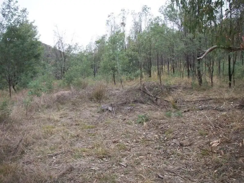 Main view of Homely rural property listing, 473 Switchback Road, Mudgegonga VIC 3737