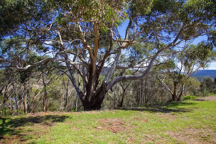 Fifth view of Homely land listing, LOT 6, 31-33 Pearse Road, Aireys Inlet VIC 3231