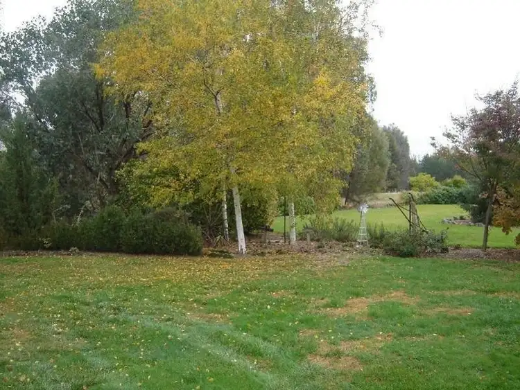 Fifth view of Homely rural property listing, 311 Black Flats Road, Mudgegonga VIC 3737