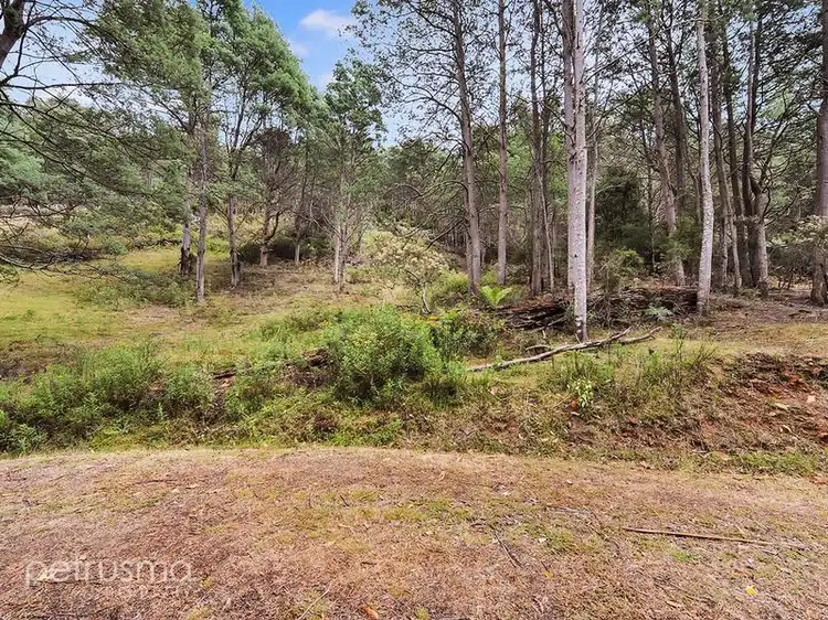 Sixth view of Homely land listing, 46 Robertson Road, Lachlan TAS 7140