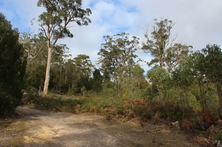 Fifth view of Homely house listing, 21 Morgans Road, Huonville TAS 7109