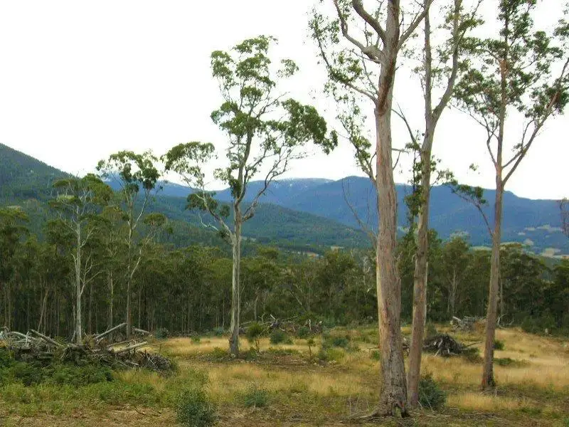 Main view of Homely land listing, Crouches Hill Road, Lucaston TAS 7109