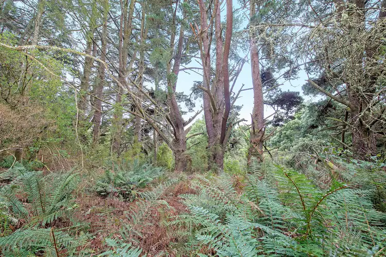 Fourth view of Homely rural property listing, 1100 Skenes Creek Road, Tanybryn VIC 3249