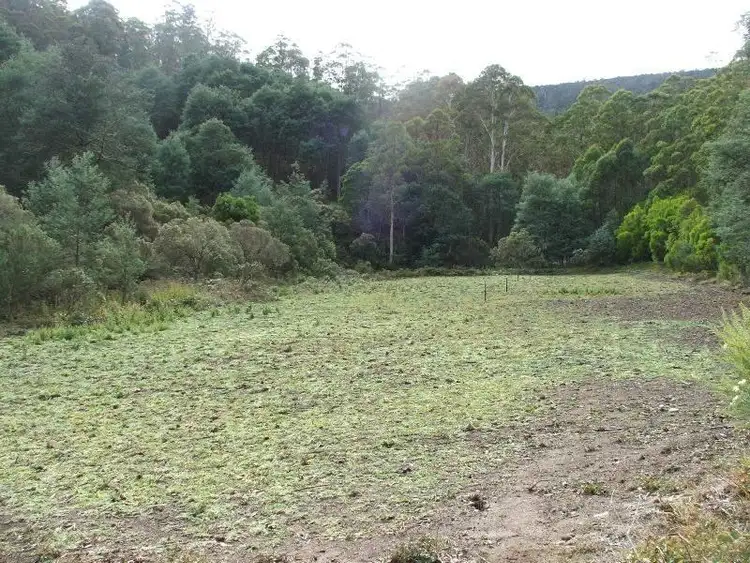 Sixth view of Homely land listing, Woolleys Road, Lonnavale TAS 7109