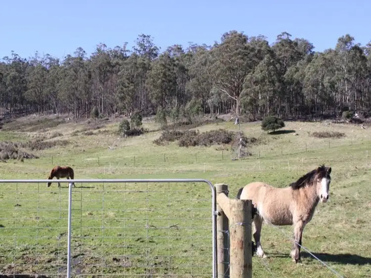Fourth view of Homely studio listing, 282 Judds Creek Road, Judbury TAS 7109
