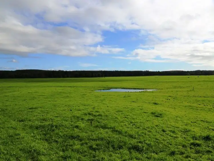 Fifth view of Homely rural property listing, 39 Cnr Wilson's Roads & Quilliams Roads, Montagu TAS 7330