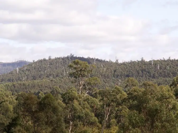 Third view of Homely land listing, Huon Highway, Strathblane TAS 7109