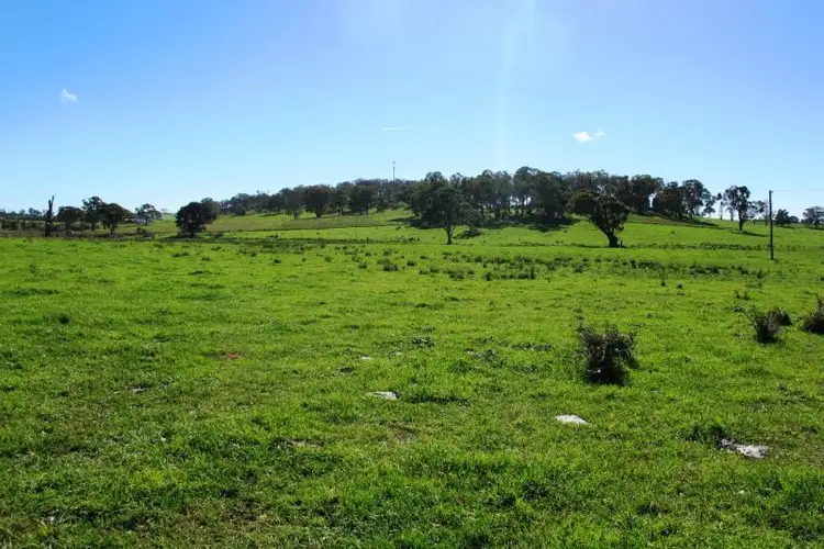 Third view of Homely land listing, 160 Forest Reefs Road, Millthorpe NSW 2798