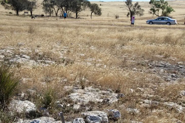 Fifth view of Homely land listing, Lot 37 Second Street, Sheringa SA 5607