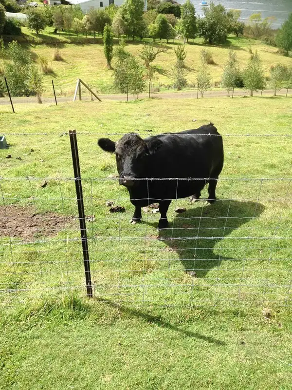 Seventh view of Homely house listing, 3596 Huon Highway, Franklin TAS 7113