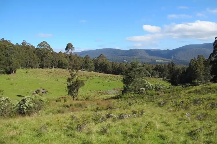 Third view of Homely land listing, Halls Track Road, Pelverata TAS 7150