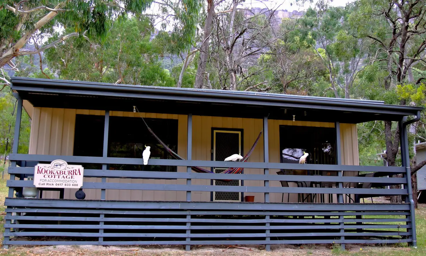 Main view of Homely house listing, 40 Scott Road, Halls Gap VIC 3381