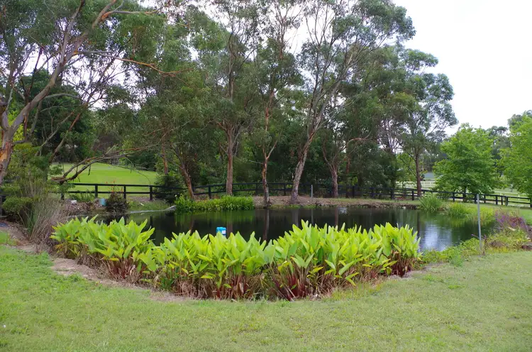 Third view of Homely rural property listing, 11 Peats Ridge Road South, Calga NSW 2250
